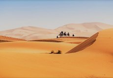 Camp thérapeutique au désert du Maroc du 10 février au 24 mars 2019